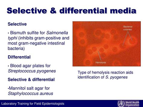 22.2: Selective and Differential Media .